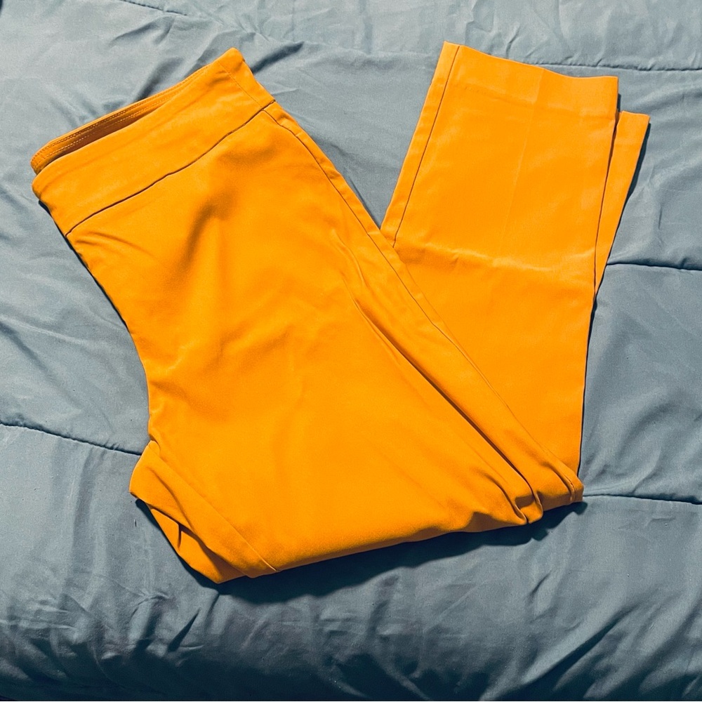 Vibrant Mustard Yellow Orange Pants